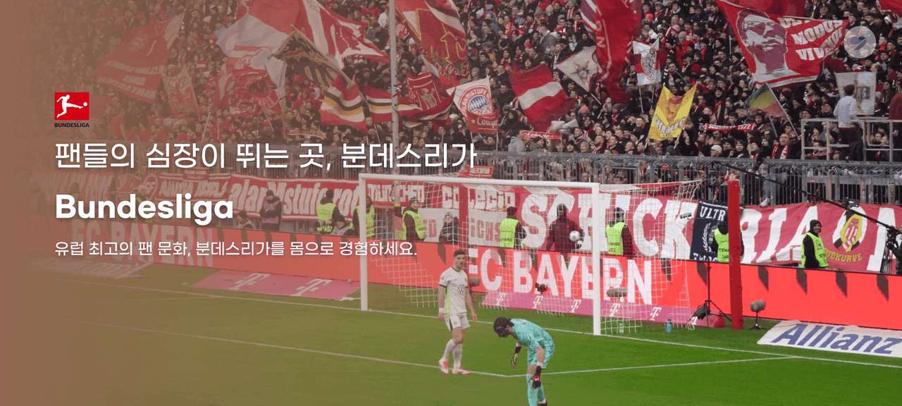 banner image